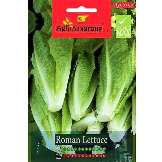 Roman Lettuce Seeds - www.FOP.ae Buy online Best and Healthy Plants and quality products guarantee in Dubai Plants Shop in Dubai Abu Dhabi all over UAE Plants near me Fresh Plants in Dubai where to buy plants in UAE - FOP.ae