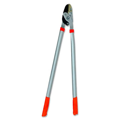 Cutter - www.FOP.ae Buy online Best and Healthy Plants and quality products guarantee in Dubai Plants Shop in Dubai Abu Dhabi all over UAE Plants near me Fresh Plants in Dubai where to buy plants in UAE - FOP.ae