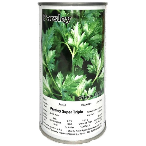 Super Triple Curly Parsley Seeds Tin - www.FOP.ae Buy online Best and Healthy Plants and quality products guarantee in Dubai Plants Shop in Dubai Abu Dhabi all over UAE Plants near me Fresh Plants in Dubai where to buy plants in UAE - FOP.ae