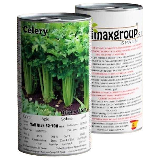 Utah 52, 70 Celery Seeds Tin - www.FOP.ae Buy online Best and Healthy Plants and quality products guarantee in Dubai Plants Shop in Dubai Abu Dhabi all over UAE Plants near me Fresh Plants in Dubai where to buy plants in UAE - FOP.ae