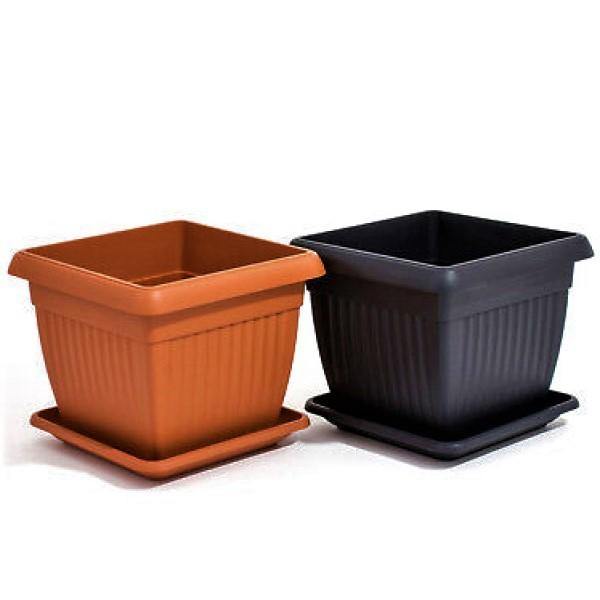 Cosmoplast Square Planter - www.FOP.ae Buy online Best and Healthy Plants and quality products guarantee in Dubai Plants Shop in Dubai Abu Dhabi all over UAE Plants near me Fresh Plants in Dubai where to buy plants in UAE - FOP.ae