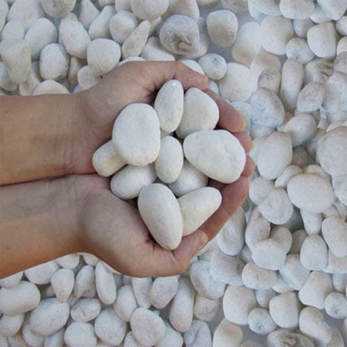 Snow white pebbles 20KG - www.FOP.ae Buy online Best and Healthy Plants and quality products guarantee in Dubai Plants Shop in Dubai Abu Dhabi all over UAE Plants near me Fresh Plants in Dubai where to buy plants in UAE - FOP.ae