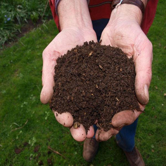 Vermicompost for Organic Farming - www.FOP.ae Buy online Best and Healthy Plants and quality products guarantee in Dubai Plants Shop in Dubai Abu Dhabi all over UAE Plants near me Fresh Plants in Dubai where to buy plants in UAE - FOP.ae