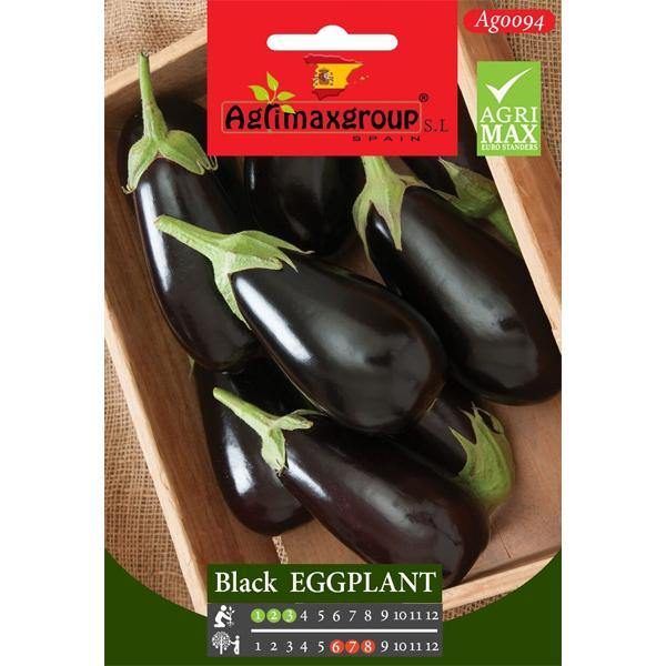 Black Eggplant Seeds - www.FOP.ae Buy online Best and Healthy Plants and quality products guarantee in Dubai Plants Shop in Dubai Abu Dhabi all over UAE Plants near me Fresh Plants in Dubai where to buy plants in UAE - FOP.ae