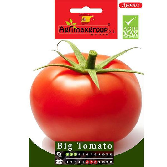 Big Tomato Seeds - www.FOP.ae Buy online Best and Healthy Plants and quality products guarantee in Dubai Plants Shop in Dubai Abu Dhabi all over UAE Plants near me Fresh Plants in Dubai where to buy plants in UAE - FOP.ae