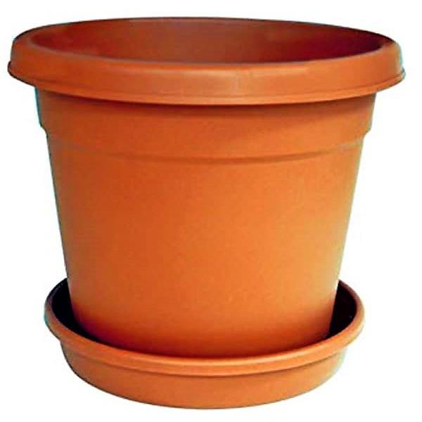 Cosmoplast Round Pot - www.FOP.ae Buy online Best and Healthy Plants and quality products guarantee in Dubai Plants Shop in Dubai Abu Dhabi all over UAE Plants near me Fresh Plants in Dubai where to buy plants in UAE - FOP.ae