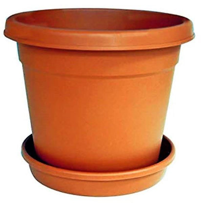 Cosmoplast Round Pot - www.FOP.ae Buy online Best and Healthy Plants and quality products guarantee in Dubai Plants Shop in Dubai Abu Dhabi all over UAE Plants near me Fresh Plants in Dubai where to buy plants in UAE - FOP.ae