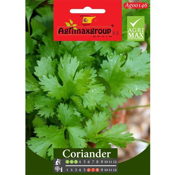 Coriander Seeds - www.FOP.ae Buy online Best and Healthy Plants and quality products guarantee in Dubai Plants Shop in Dubai Abu Dhabi all over UAE Plants near me Fresh Plants in Dubai where to buy plants in UAE - FOP.ae