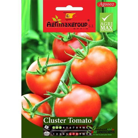 Cluster Tomato Seeds - www.FOP.ae Buy online Best and Healthy Plants and quality products guarantee in Dubai Plants Shop in Dubai Abu Dhabi all over UAE Plants near me Fresh Plants in Dubai where to buy plants in UAE - FOP.ae