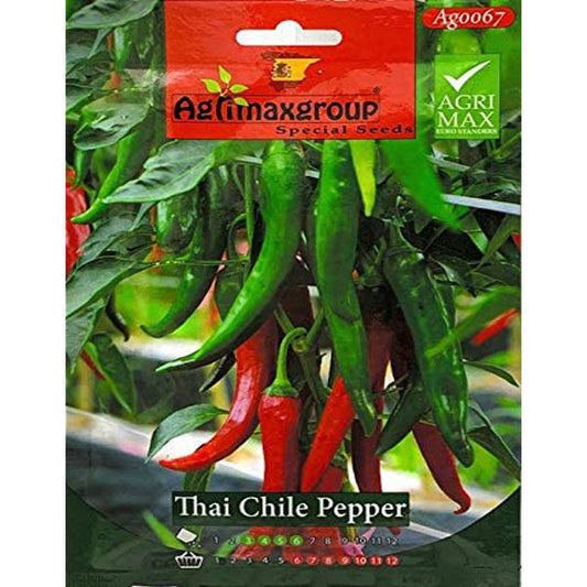 Thai Chile Pepper Seeds - www.FOP.ae Buy online Best and Healthy Plants and quality products guarantee in Dubai Plants Shop in Dubai Abu Dhabi all over UAE Plants near me Fresh Plants in Dubai where to buy plants in UAE - FOP.ae