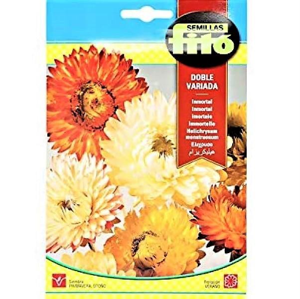 Helichrysum Monstruosum Double Mixed Seeds - www.FOP.ae Buy online Best and Healthy Plants and quality products guarantee in Dubai Plants Shop in Dubai Abu Dhabi all over UAE Plants near me Fresh Plants in Dubai where to buy plants in UAE - FOP.ae