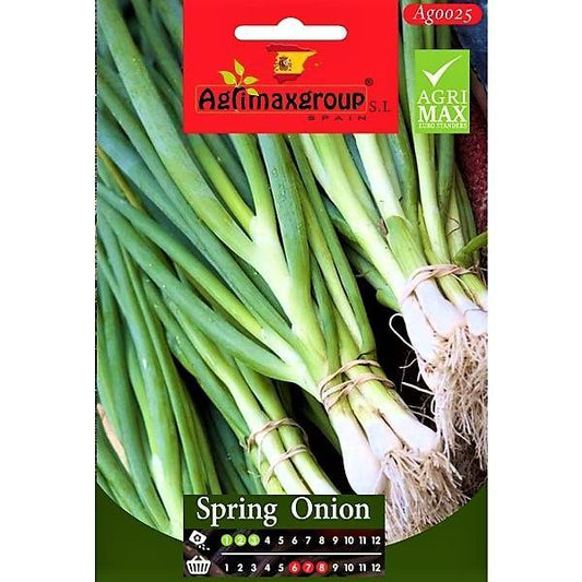 Spring Onion Seeds - www.FOP.ae Buy online Best and Healthy Plants and quality products guarantee in Dubai Plants Shop in Dubai Abu Dhabi all over UAE Plants near me Fresh Plants in Dubai where to buy plants in UAE - FOP.ae