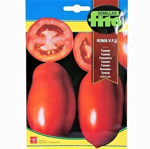 Tomato Roma VF Seeds - www.FOP.ae Buy online Best and Healthy Plants and quality products guarantee in Dubai Plants Shop in Dubai Abu Dhabi all over UAE Plants near me Fresh Plants in Dubai where to buy plants in UAE - FOP.ae