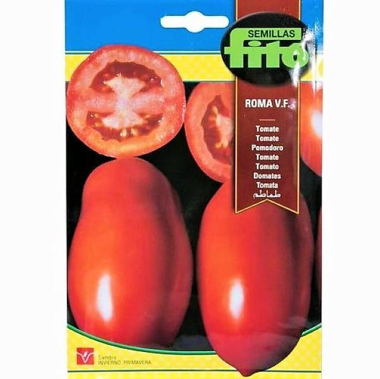 Tomato Roma VF Seeds - www.FOP.ae Buy online Best and Healthy Plants and quality products guarantee in Dubai Plants Shop in Dubai Abu Dhabi all over UAE Plants near me Fresh Plants in Dubai where to buy plants in UAE - FOP.ae
