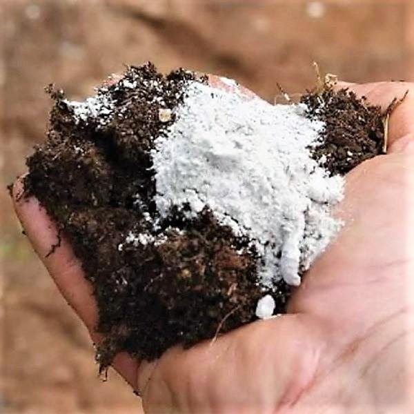 Agriculture Gypsum - www.FOP.ae Buy online Best and Healthy Plants and quality products guarantee in Dubai Plants Shop in Dubai Abu Dhabi all over UAE Plants near me Fresh Plants in Dubai where to buy plants in UAE - FOP.ae