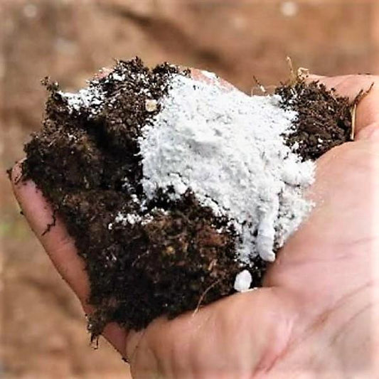 Agriculture Gypsum - www.FOP.ae Buy online Best and Healthy Plants and quality products guarantee in Dubai Plants Shop in Dubai Abu Dhabi all over UAE Plants near me Fresh Plants in Dubai where to buy plants in UAE - FOP.ae