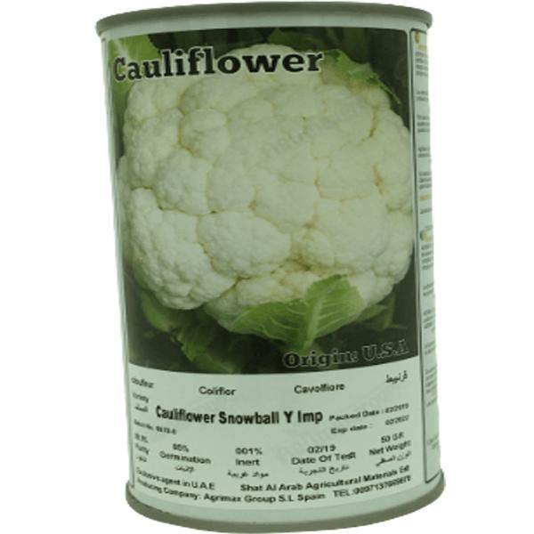 Cauliflower Snowball Seeds Tin - www.FOP.ae Buy online Best and Healthy Plants and quality products guarantee in Dubai Plants Shop in Dubai Abu Dhabi all over UAE Plants near me Fresh Plants in Dubai where to buy plants in UAE - FOP.ae