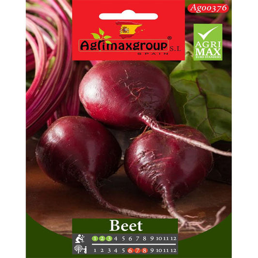 Red Beet Seeds - www.FOP.ae Buy online Best and Healthy Plants and quality products guarantee in Dubai Plants Shop in Dubai Abu Dhabi all over UAE Plants near me Fresh Plants in Dubai where to buy plants in UAE - FOP.ae