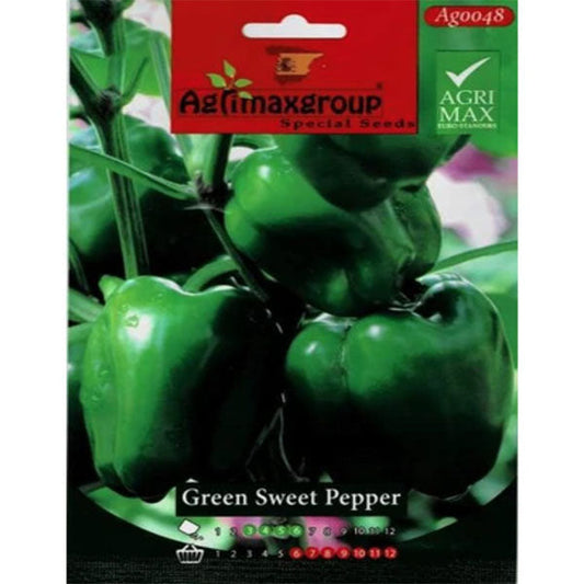 Green Sweet Pepper Agrimax seeds - www.FOP.ae Buy online Best and Healthy Plants and quality products guarantee in Dubai Plants Shop in Dubai Abu Dhabi all over UAE Plants near me Fresh Plants in Dubai where to buy plants in UAE - FOP.ae