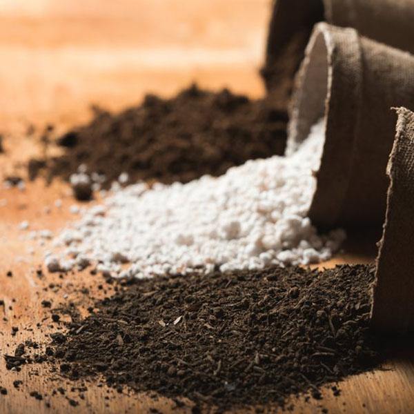Living Space Potting Soil Mix - www.FOP.ae Buy online Best and Healthy Plants and quality products guarantee in Dubai Plants Shop in Dubai Abu Dhabi all over UAE Plants near me Fresh Plants in Dubai where to buy plants in UAE - FOP.ae