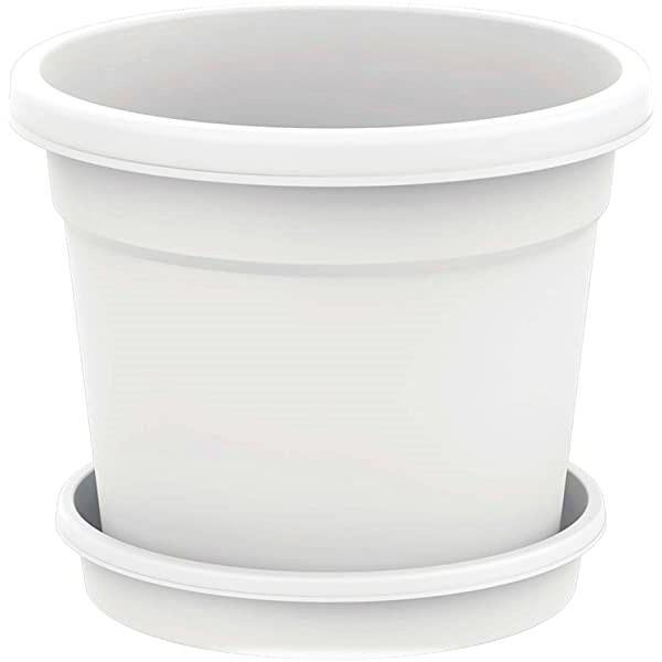 Cosmoplast Round Pot - www.FOP.ae Buy online Best and Healthy Plants and quality products guarantee in Dubai Plants Shop in Dubai Abu Dhabi all over UAE Plants near me Fresh Plants in Dubai where to buy plants in UAE - FOP.ae