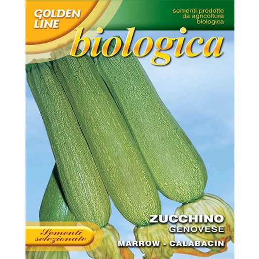 Squash Genovese, Franchi Seeds - www.FOP.ae Buy online Best and Healthy Plants and quality products guarantee in Dubai Plants Shop in Dubai Abu Dhabi all over UAE Plants near me Fresh Plants in Dubai where to buy plants in UAE - FOP.ae