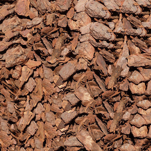 Pine Bark Mulch, 45Ltr Bag - www.FOP.ae Buy online Best and Healthy Plants and quality products guarantee in Dubai Plants Shop in Dubai Abu Dhabi all over UAE Plants near me Fresh Plants in Dubai where to buy plants in UAE - FOP.ae