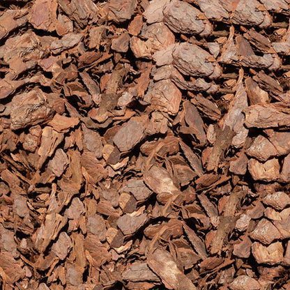 Pine Bark Mulch, 45Ltr Bag - www.FOP.ae Buy online Best and Healthy Plants and quality products guarantee in Dubai Plants Shop in Dubai Abu Dhabi all over UAE Plants near me Fresh Plants in Dubai where to buy plants in UAE - FOP.ae