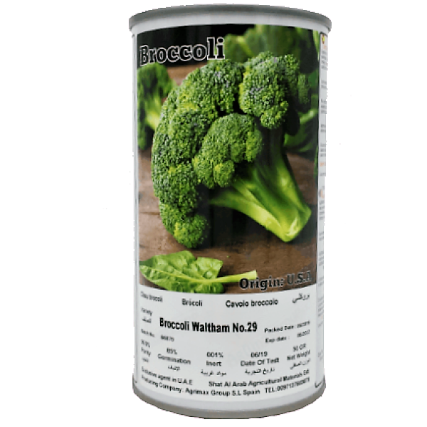 Broccoli Waltham 29 Seeds Tin - www.FOP.ae Buy online Best and Healthy Plants and quality products guarantee in Dubai Plants Shop in Dubai Abu Dhabi all over UAE Plants near me Fresh Plants in Dubai where to buy plants in UAE - FOP.ae