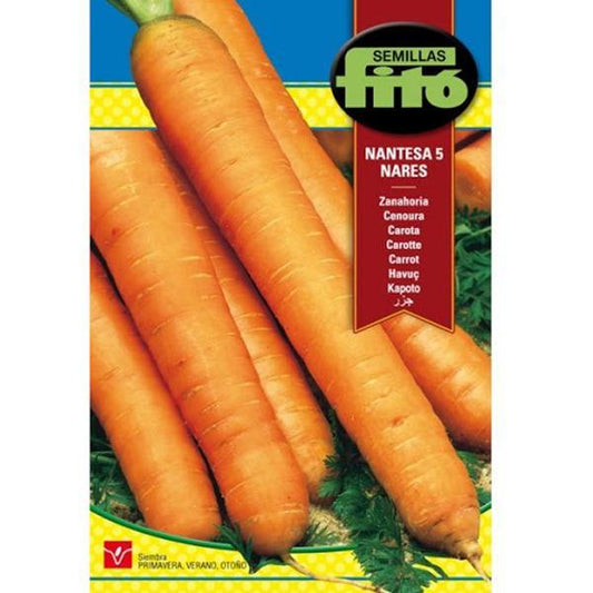 Carrot Nantesa 5 Nares Seeds - www.FOP.ae Buy online Best and Healthy Plants and quality products guarantee in Dubai Plants Shop in Dubai Abu Dhabi all over UAE Plants near me Fresh Plants in Dubai where to buy plants in UAE - FOP.ae