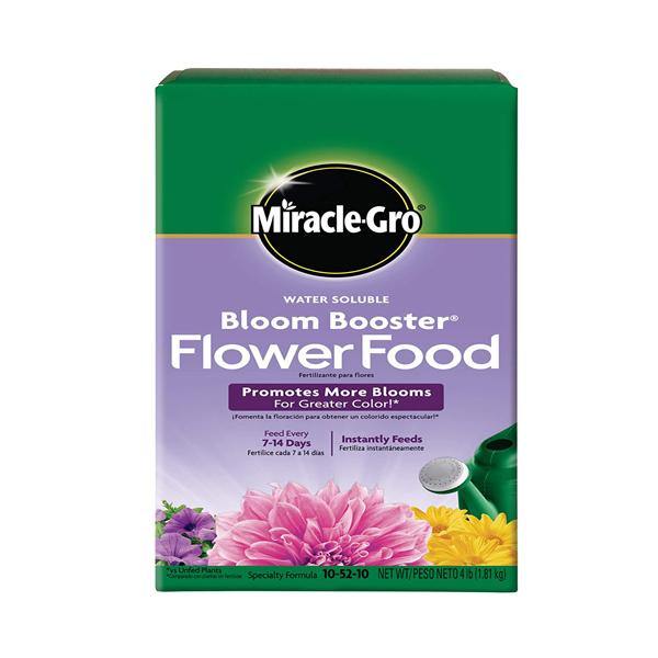 Miracle-Gro Water Soluble Bloom Booster Flower Food - www.FOP.ae Buy online Best and Healthy Plants and quality products guarantee in Dubai Plants Shop in Dubai Abu Dhabi all over UAE Plants near me Fresh Plants in Dubai where to buy plants in UAE - FOP.ae