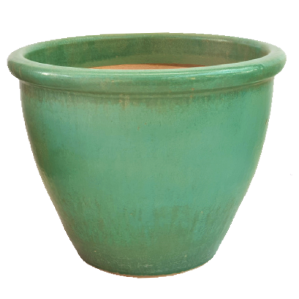 Ceramic Rolled Rim Pot - www.FOP.ae Buy online Best and Healthy Plants and quality products guarantee in Dubai Plants Shop in Dubai Abu Dhabi all over UAE Plants near me Fresh Plants in Dubai where to buy plants in UAE - FOP.ae