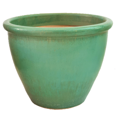 Ceramic Rolled Rim Pot - www.FOP.ae Buy online Best and Healthy Plants and quality products guarantee in Dubai Plants Shop in Dubai Abu Dhabi all over UAE Plants near me Fresh Plants in Dubai where to buy plants in UAE - FOP.ae
