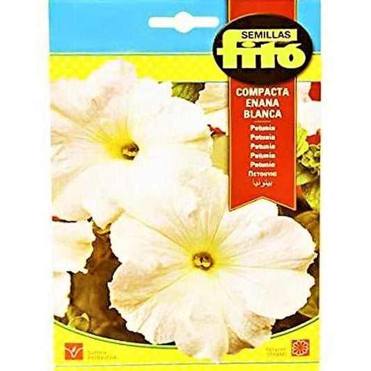 Dwarf Compact White Seeds - www.FOP.ae Buy online Best and Healthy Plants and quality products guarantee in Dubai Plants Shop in Dubai Abu Dhabi all over UAE Plants near me Fresh Plants in Dubai where to buy plants in UAE - FOP.ae