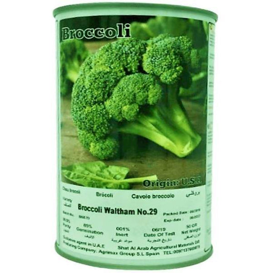 Broccoli Waltham 29 Seeds Tin - www.FOP.ae Buy online Best and Healthy Plants and quality products guarantee in Dubai Plants Shop in Dubai Abu Dhabi all over UAE Plants near me Fresh Plants in Dubai where to buy plants in UAE - FOP.ae