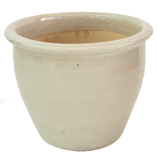 Ceramic Rolled Rim Pot - www.FOP.ae Buy online Best and Healthy Plants and quality products guarantee in Dubai Plants Shop in Dubai Abu Dhabi all over UAE Plants near me Fresh Plants in Dubai where to buy plants in UAE - FOP.ae