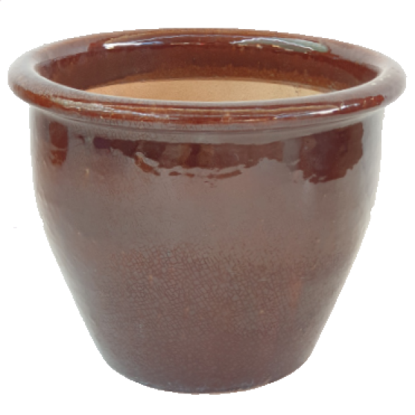 Ceramic Rolled Rim Pot - www.FOP.ae Buy online Best and Healthy Plants and quality products guarantee in Dubai Plants Shop in Dubai Abu Dhabi all over UAE Plants near me Fresh Plants in Dubai where to buy plants in UAE - FOP.ae