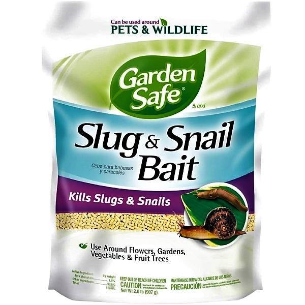 Garden Safe Slug, Snail Bait 2LB - www.FOP.ae Buy online Best and Healthy Plants and quality products guarantee in Dubai Plants Shop in Dubai Abu Dhabi all over UAE Plants near me Fresh Plants in Dubai where to buy plants in UAE - FOP.ae