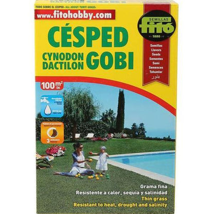 Cynodon Dactylon, Bermuda Grass Seeds - www.FOP.ae Buy online Best and Healthy Plants and quality products guarantee in Dubai Plants Shop in Dubai Abu Dhabi all over UAE Plants near me Fresh Plants in Dubai where to buy plants in UAE - FOP.ae