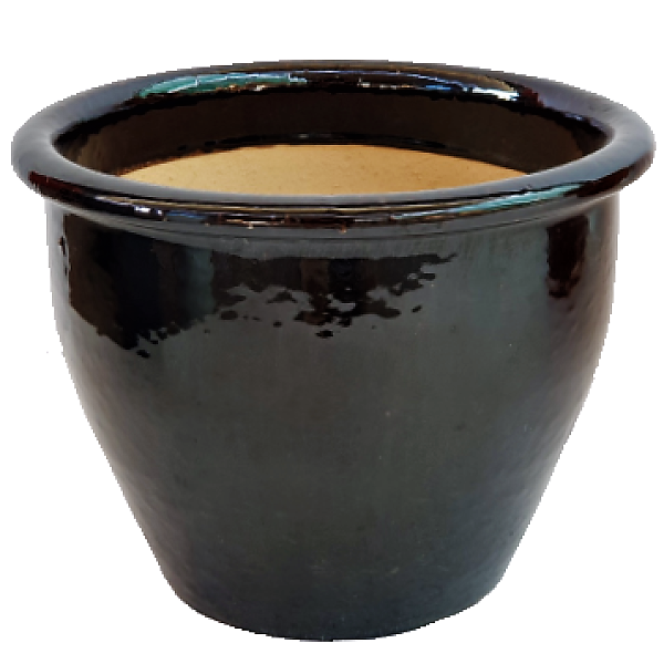 Ceramic Rolled Rim Pot - www.FOP.ae Buy online Best and Healthy Plants and quality products guarantee in Dubai Plants Shop in Dubai Abu Dhabi all over UAE Plants near me Fresh Plants in Dubai where to buy plants in UAE - FOP.ae
