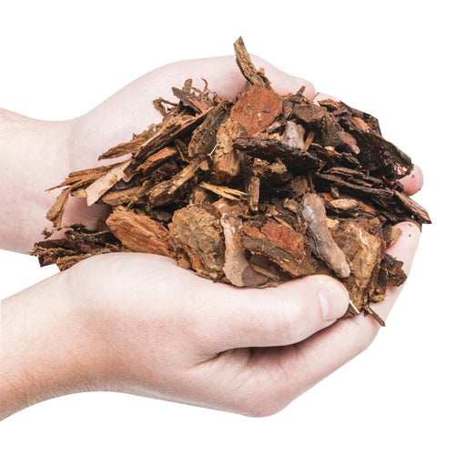 Pine Bark Nugget, 45Ltr Bag - www.FOP.ae Buy online Best and Healthy Plants and quality products guarantee in Dubai Plants Shop in Dubai Abu Dhabi all over UAE Plants near me Fresh Plants in Dubai where to buy plants in UAE - FOP.ae