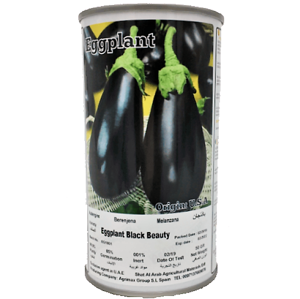 Eggplant Black Beauty Seeds Tin - www.FOP.ae Buy online Best and Healthy Plants and quality products guarantee in Dubai Plants Shop in Dubai Abu Dhabi all over UAE Plants near me Fresh Plants in Dubai where to buy plants in UAE - FOP.ae