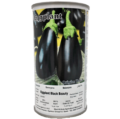 Eggplant Black Beauty Seeds Tin - www.FOP.ae Buy online Best and Healthy Plants and quality products guarantee in Dubai Plants Shop in Dubai Abu Dhabi all over UAE Plants near me Fresh Plants in Dubai where to buy plants in UAE - FOP.ae