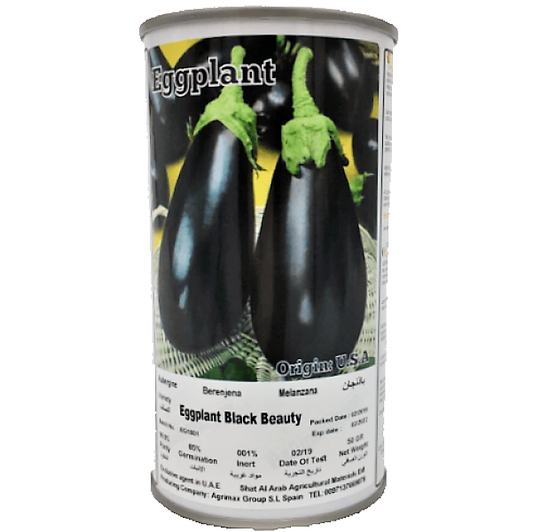 Eggplant Black Beauty Seeds Tin - www.FOP.ae Buy online Best and Healthy Plants and quality products guarantee in Dubai Plants Shop in Dubai Abu Dhabi all over UAE Plants near me Fresh Plants in Dubai where to buy plants in UAE - FOP.ae