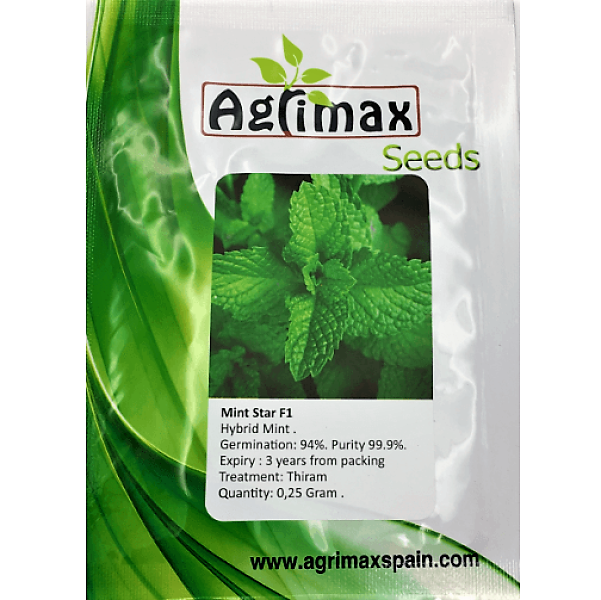Mint F1 Premium Quality Seeds - www.FOP.ae Buy online Best and Healthy Plants and quality products guarantee in Dubai Plants Shop in Dubai Abu Dhabi all over UAE Plants near me Fresh Plants in Dubai where to buy plants in UAE - FOP.ae