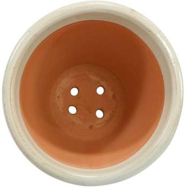 Ceramic Rolled Rim Pot - www.FOP.ae Buy online Best and Healthy Plants and quality products guarantee in Dubai Plants Shop in Dubai Abu Dhabi all over UAE Plants near me Fresh Plants in Dubai where to buy plants in UAE - FOP.ae