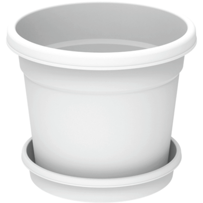 Cosmoplast Round Pot - www.FOP.ae Buy online Best and Healthy Plants and quality products guarantee in Dubai Plants Shop in Dubai Abu Dhabi all over UAE Plants near me Fresh Plants in Dubai where to buy plants in UAE - FOP.ae