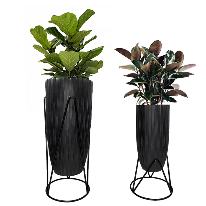 Stand SP A - www.FOP.ae Buy online Best and Healthy Plants and quality products guarantee in Dubai Plants Shop in Dubai Abu Dhabi all over UAE Plants near me Fresh Plants in Dubai where to buy plants in UAE - FOP.ae