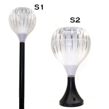Finger Touch Solar Flame Light - www.FOP.ae Buy online Best and Healthy Plants and quality products guarantee in Dubai Plants Shop in Dubai Abu Dhabi all over UAE Plants near me Fresh Plants in Dubai where to buy plants in UAE - FOP.ae