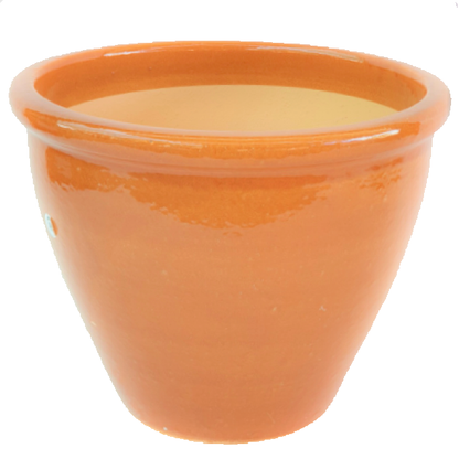 Ceramic Rolled Rim Pot - www.FOP.ae Buy online Best and Healthy Plants and quality products guarantee in Dubai Plants Shop in Dubai Abu Dhabi all over UAE Plants near me Fresh Plants in Dubai where to buy plants in UAE - FOP.ae